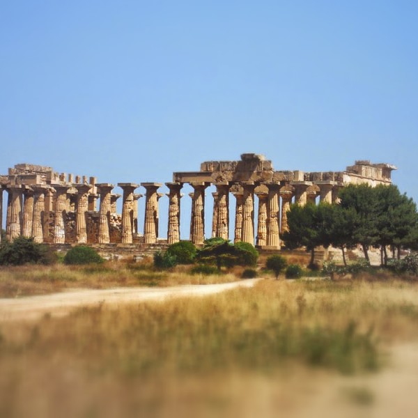 Parco archeologico - Selinunte