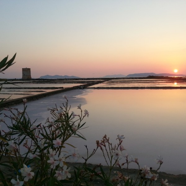 Saline - Trapani