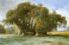 Castagno dei Cento Cavalli