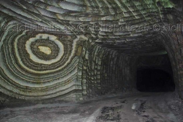 Rosone naturale Rosone naturale