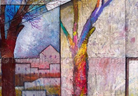 L'albero e la sua ombra