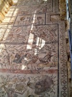 Fanciulli impegnati in varie attività