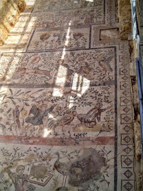 Fanciulli impegnati in varie attività